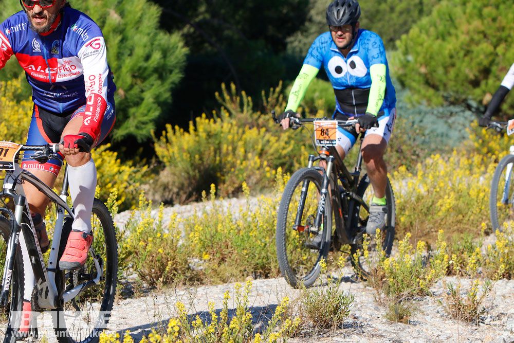 Ruta de las Encinas 2017. Galería 2