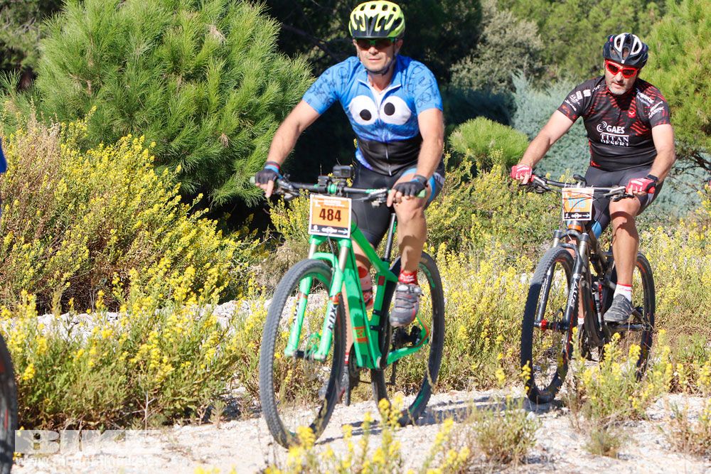 Ruta de las Encinas 2017. Galería 2