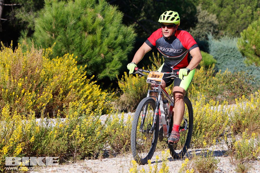 Ruta de las Encinas 2017. Galería 2