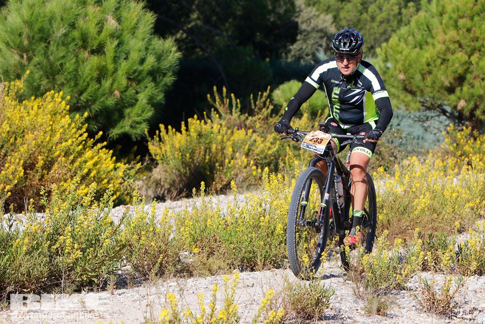 Ruta de las Encinas 2017. Galería 2