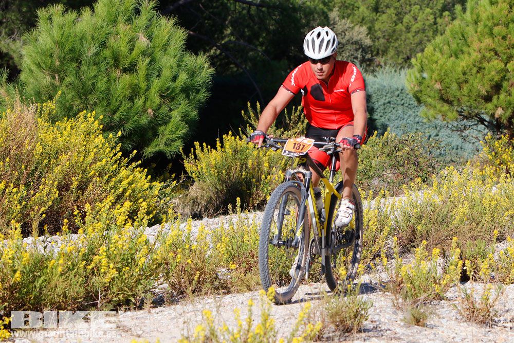 Ruta de las Encinas 2017. Galería 2