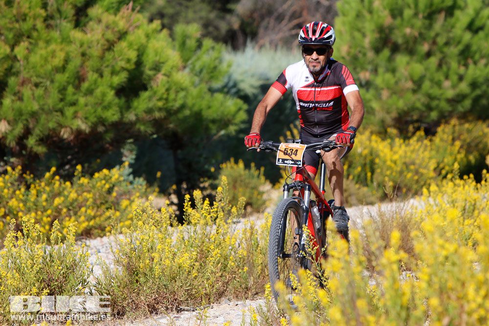 Ruta de las Encinas 2017. Galería 2