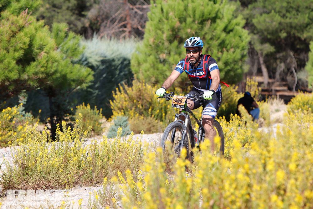 Ruta de las Encinas 2017. Galería 2