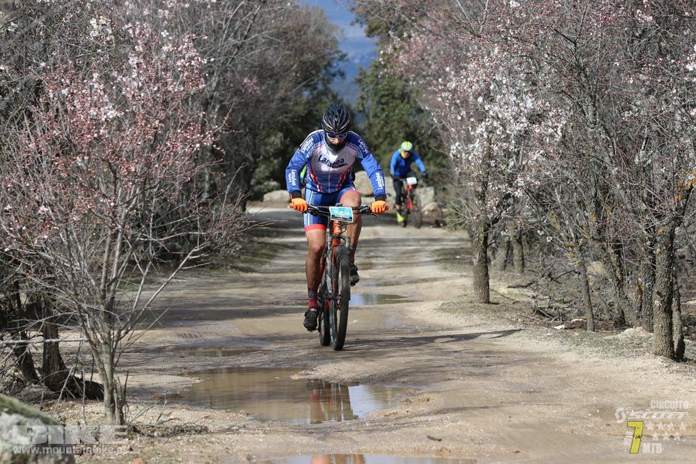 Ruta de la miel. Colmenarejo. Circuito Scott 7 Estrellas 2018. Galería 2