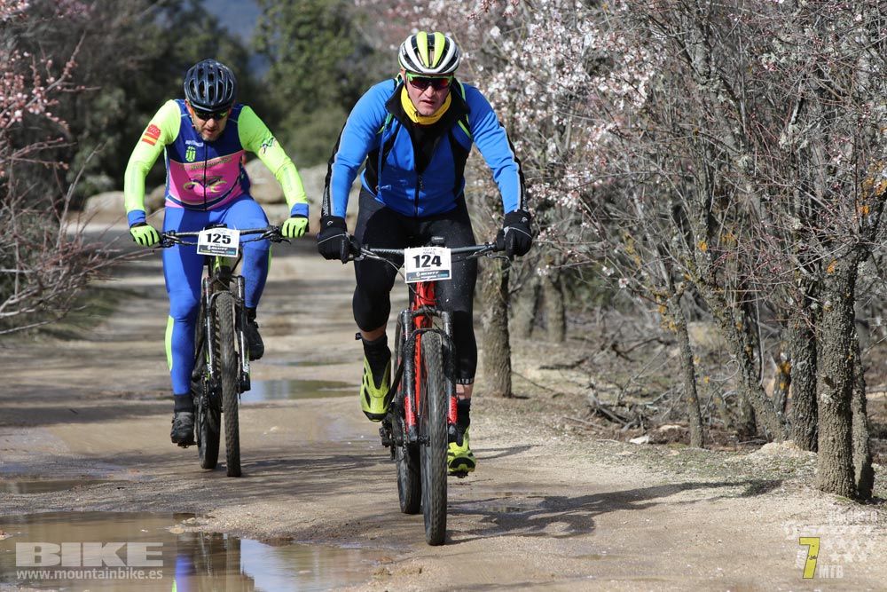Ruta de la miel. Colmenarejo. Circuito Scott 7 Estrellas 2018. Galería 2