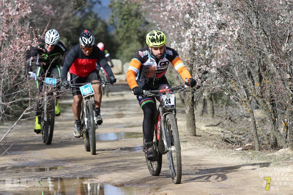 Ruta de la miel. Colmenarejo. Circuito Scott 7 Estrellas 2018. Galería 2