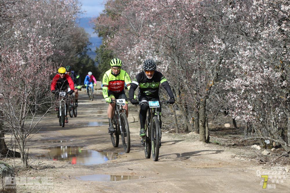 Ruta de la miel. Colmenarejo. Circuito Scott 7 Estrellas 2018. Galería 2