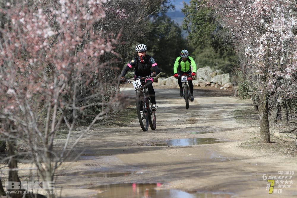 Ruta de la miel. Colmenarejo. Circuito Scott 7 Estrellas 2018. Galería 2