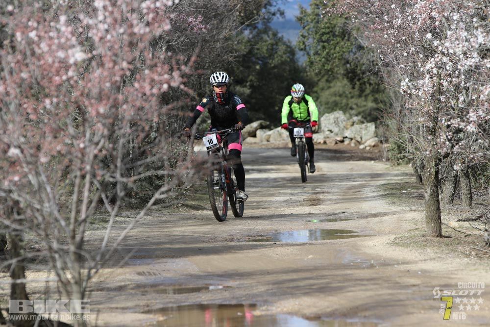 Ruta de la miel. Colmenarejo. Circuito Scott 7 Estrellas 2018. Galería 2