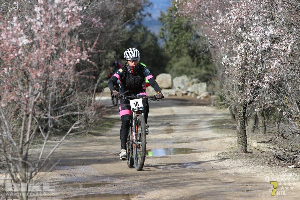 Ruta de la miel. Colmenarejo. Circuito Scott 7 Estrellas 2018. Galería 2