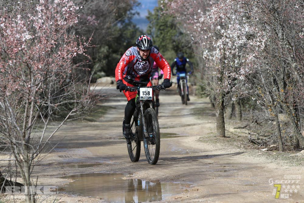 Ruta de la miel. Colmenarejo. Circuito Scott 7 Estrellas 2018. Galería 2