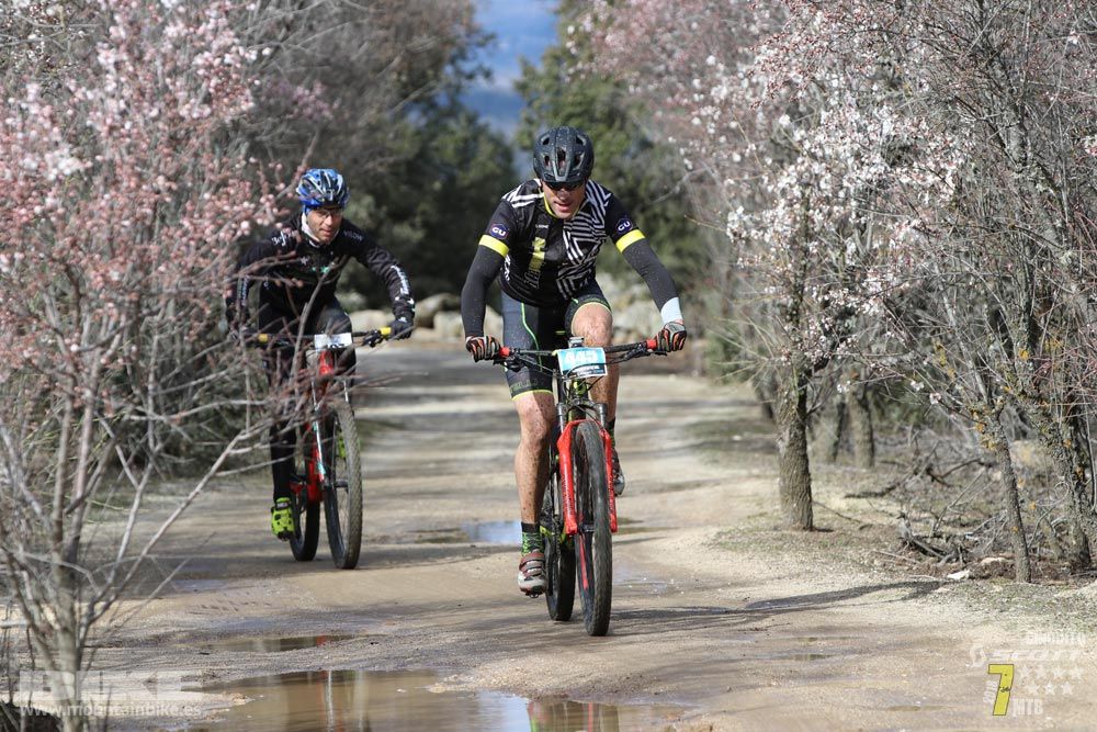 Ruta de la miel. Colmenarejo. Circuito Scott 7 Estrellas 2018. Galería 2