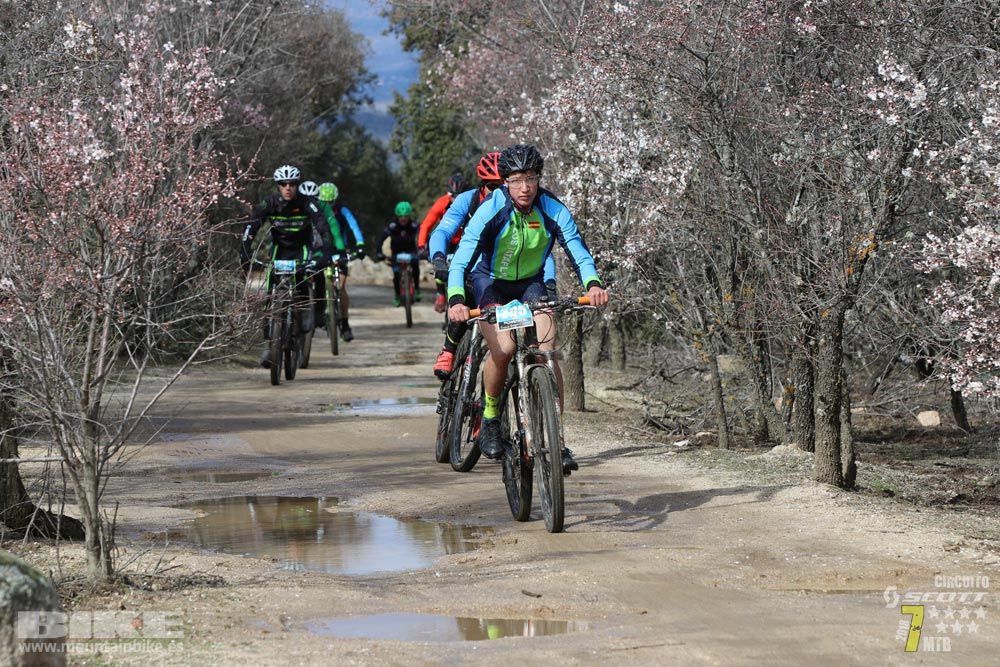Ruta de la miel. Colmenarejo. Circuito Scott 7 Estrellas 2018. Galería 2