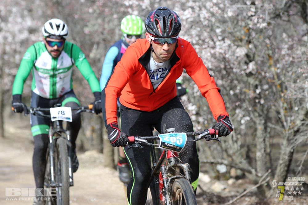 Ruta de la miel. Colmenarejo. Circuito Scott 7 Estrellas 2018. Galería 2
