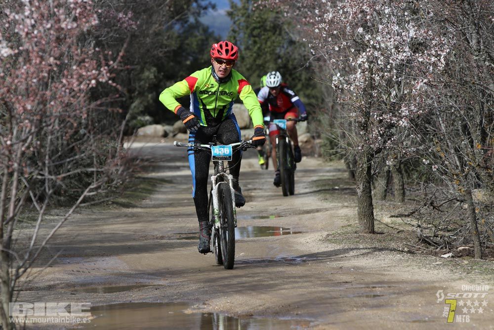Ruta de la miel. Colmenarejo. Circuito Scott 7 Estrellas 2018. Galería 2