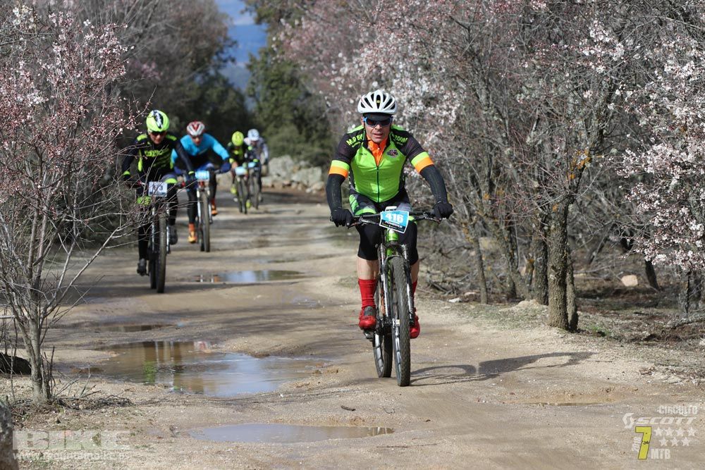 Ruta de la miel. Colmenarejo. Circuito Scott 7 Estrellas 2018. Galería 2