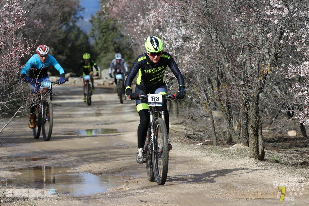 Ruta de la miel. Colmenarejo. Circuito Scott 7 Estrellas 2018. Galería 2