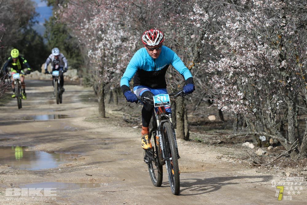 Ruta de la miel. Colmenarejo. Circuito Scott 7 Estrellas 2018. Galería 2