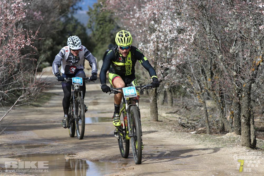 Ruta de la miel. Colmenarejo. Circuito Scott 7 Estrellas 2018. Galería 2