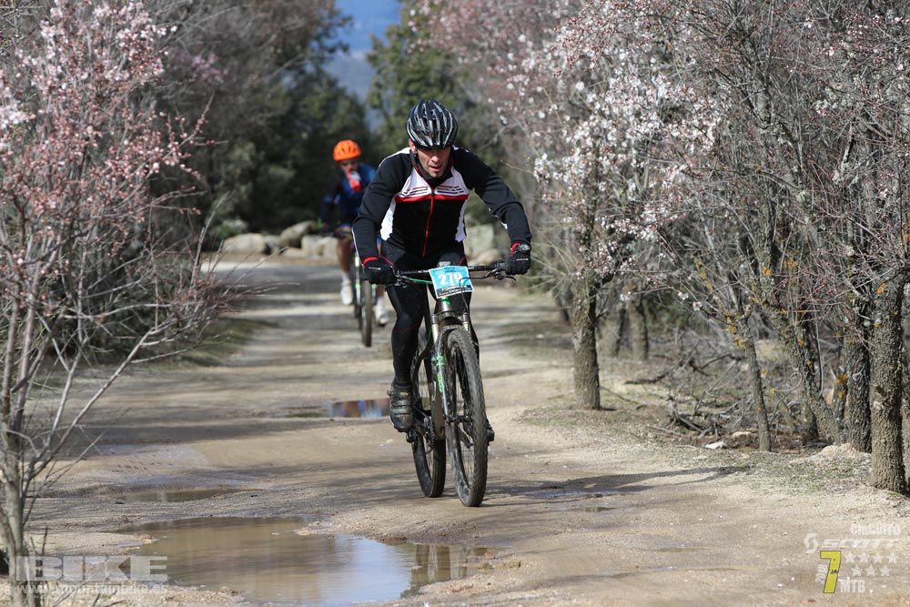 Ruta de la miel. Colmenarejo. Circuito Scott 7 Estrellas 2018. Galería 2