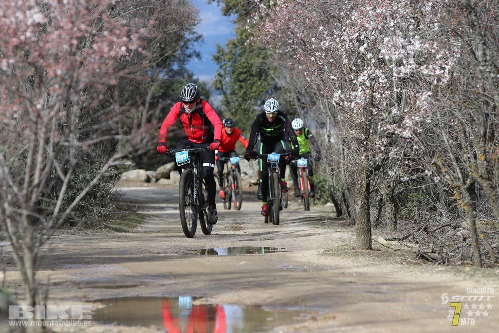 Ruta de la miel. Colmenarejo. Circuito Scott 7 Estrellas 2018. Galería 2
