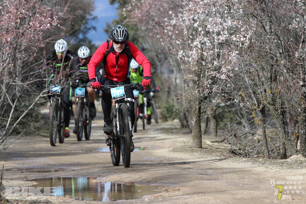 Ruta de la miel. Colmenarejo. Circuito Scott 7 Estrellas 2018. Galería 2