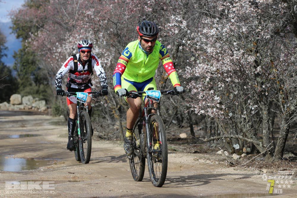 Ruta de la miel. Colmenarejo. Circuito Scott 7 Estrellas 2018. Galería 2