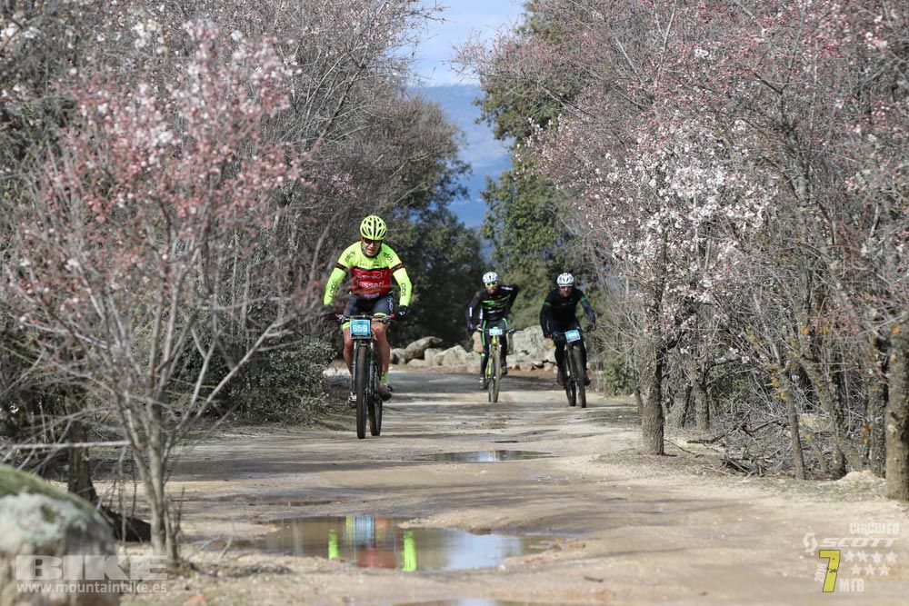 Ruta de la miel. Colmenarejo. Circuito Scott 7 Estrellas 2018. Galería 2