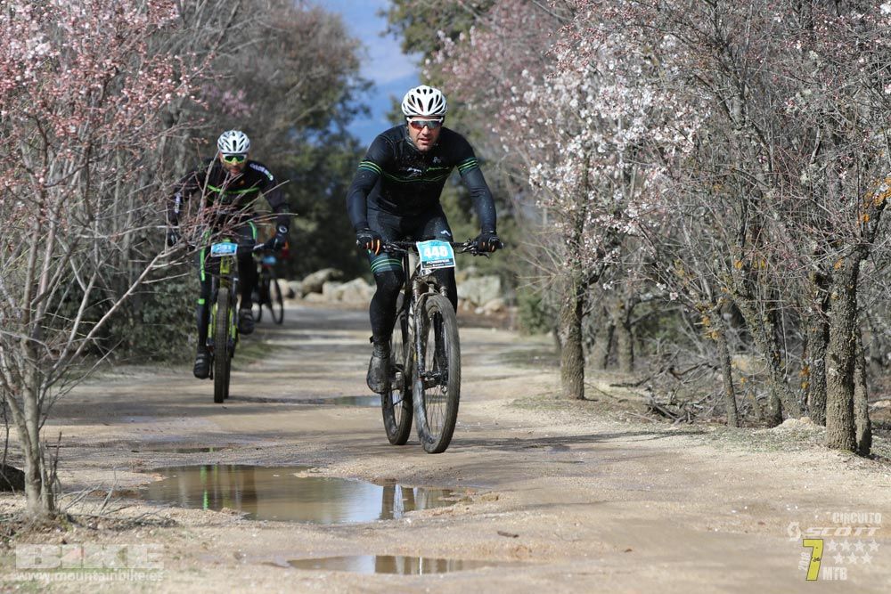 Ruta de la miel. Colmenarejo. Circuito Scott 7 Estrellas 2018. Galería 2