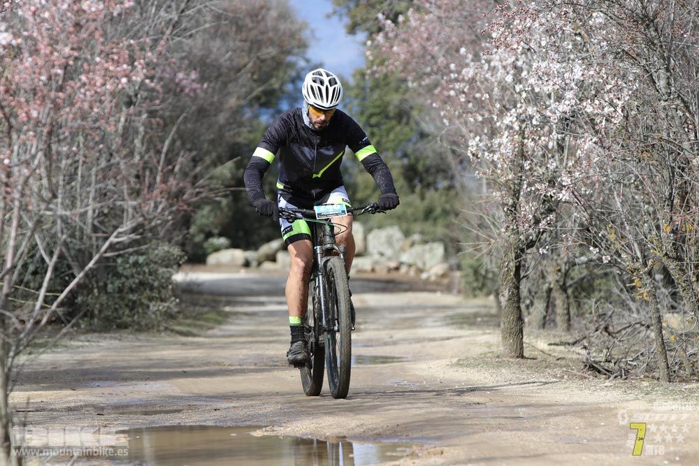 Ruta de la miel. Colmenarejo. Circuito Scott 7 Estrellas 2018. Galería 2