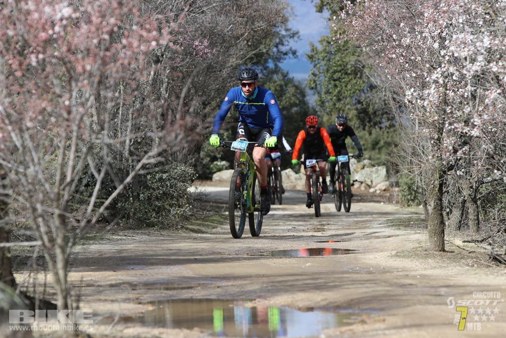 Ruta de la miel. Colmenarejo. Circuito Scott 7 Estrellas 2018. Galería 2