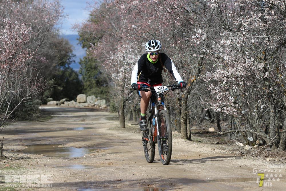 Ruta de la miel. Colmenarejo. Circuito Scott 7 Estrellas 2018. Galería 2