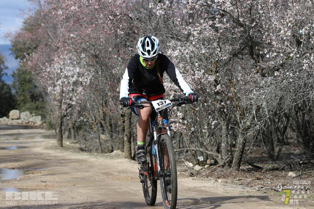 Ruta de la miel. Colmenarejo. Circuito Scott 7 Estrellas 2018. Galería 2