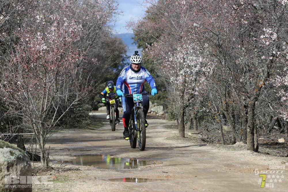 Ruta de la miel. Colmenarejo. Circuito Scott 7 Estrellas 2018. Galería 2