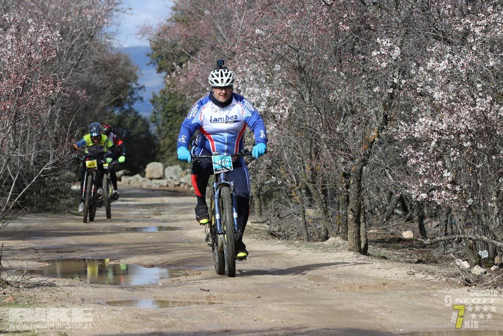 Ruta de la miel. Colmenarejo. Circuito Scott 7 Estrellas 2018. Galería 2