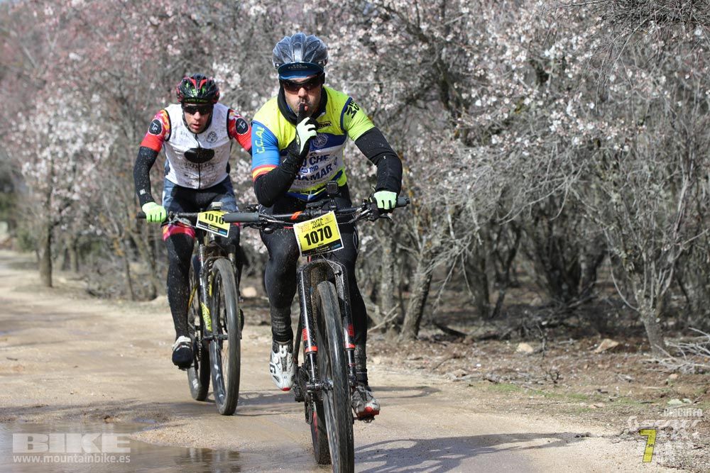 Ruta de la miel. Colmenarejo. Circuito Scott 7 Estrellas 2018. Galería 2