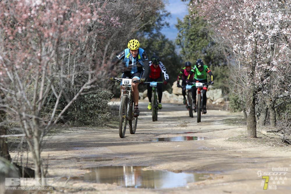 Ruta de la miel. Colmenarejo. Circuito Scott 7 Estrellas 2018. Galería 2