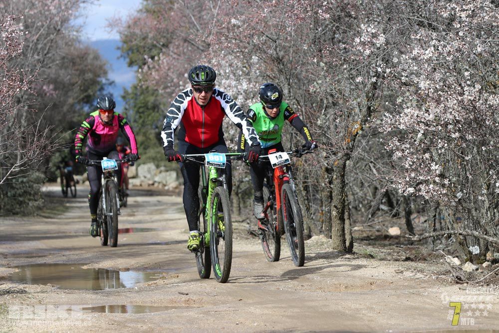 Ruta de la miel. Colmenarejo. Circuito Scott 7 Estrellas 2018. Galería 2