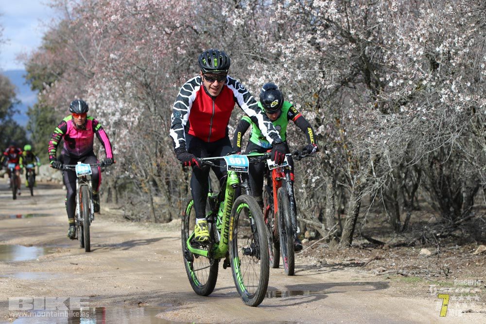 Ruta de la miel. Colmenarejo. Circuito Scott 7 Estrellas 2018. Galería 2