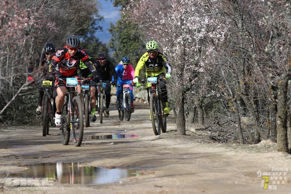 Ruta de la miel. Colmenarejo. Circuito Scott 7 Estrellas 2018. Galería 2