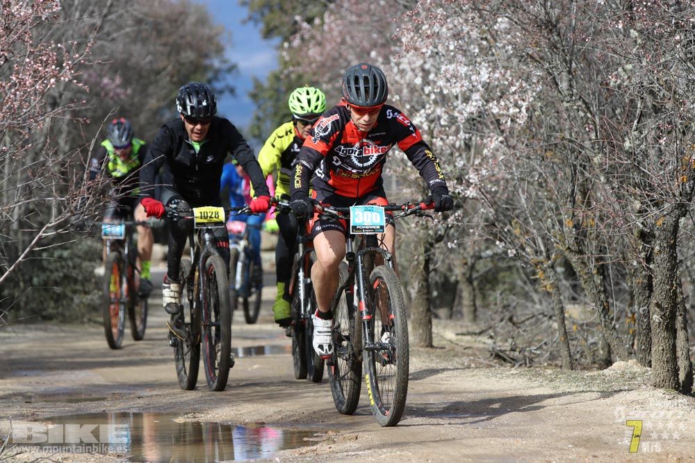 Ruta de la miel. Colmenarejo. Circuito Scott 7 Estrellas 2018. Galería 2