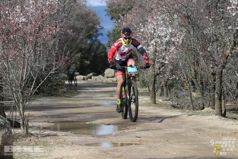 Ruta de la miel. Colmenarejo. Circuito Scott 7 Estrellas 2018. Galería 2