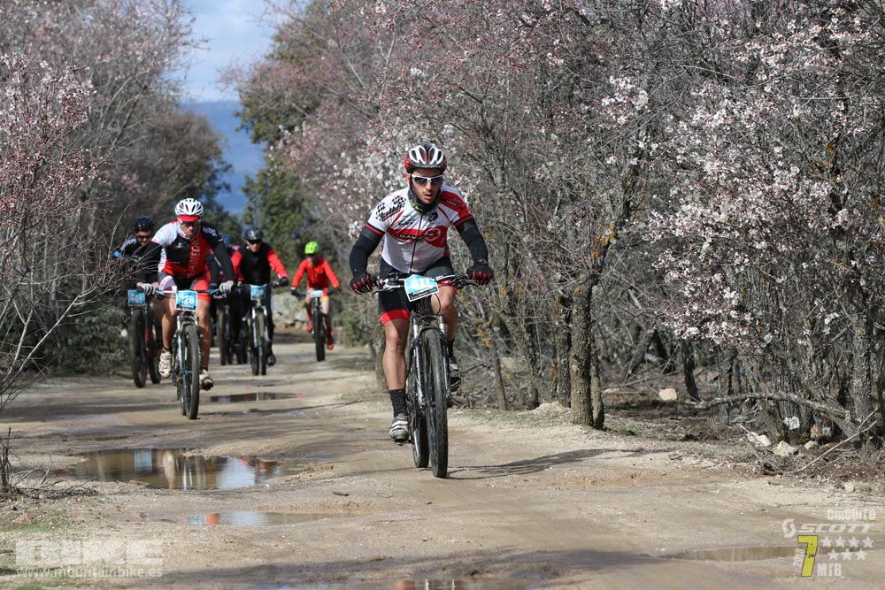 Ruta de la miel. Colmenarejo. Circuito Scott 7 Estrellas 2018. Galería 2