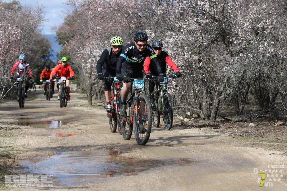 Ruta de la miel. Colmenarejo. Circuito Scott 7 Estrellas 2018. Galería 2
