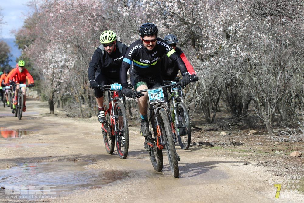 Ruta de la miel. Colmenarejo. Circuito Scott 7 Estrellas 2018. Galería 2