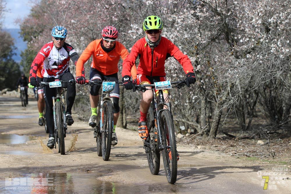 Ruta de la miel. Colmenarejo. Circuito Scott 7 Estrellas 2018. Galería 2