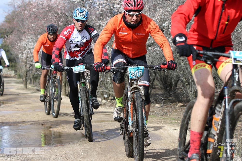 Ruta de la miel. Colmenarejo. Circuito Scott 7 Estrellas 2018. Galería 2