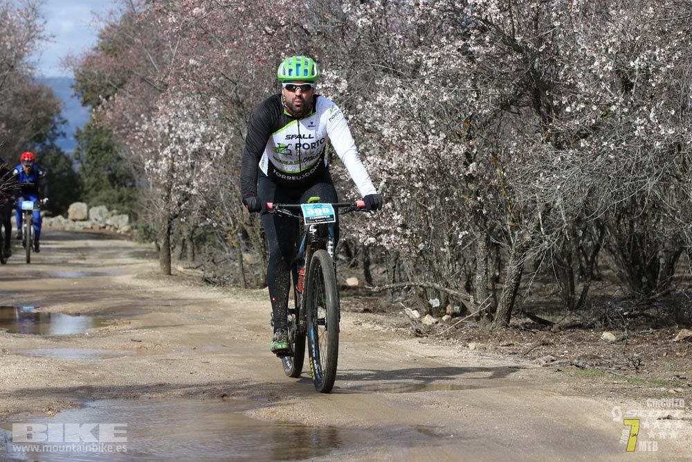 Ruta de la miel. Colmenarejo. Circuito Scott 7 Estrellas 2018. Galería 2
