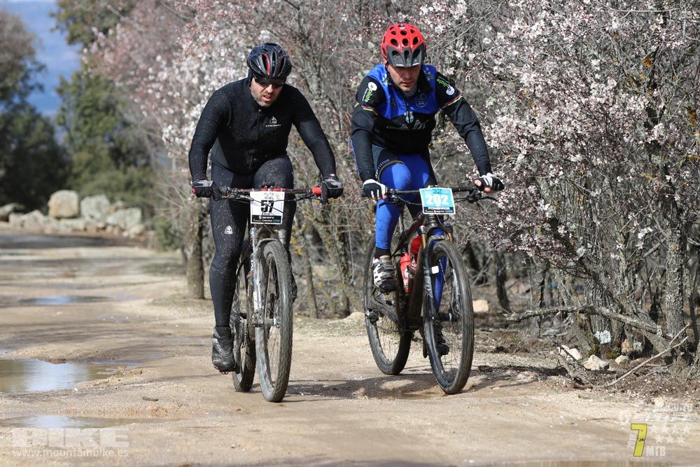 Ruta de la miel. Colmenarejo. Circuito Scott 7 Estrellas 2018. Galería 2