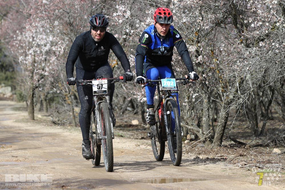 Ruta de la miel. Colmenarejo. Circuito Scott 7 Estrellas 2018. Galería 2
